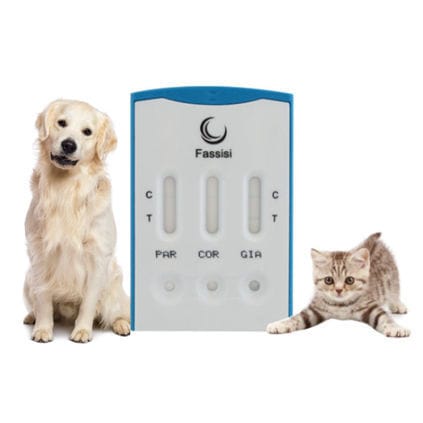 Экспресс-тест на инфекционные заболевания - TRIPLE - Fassisi, Gesellschaft für Veterinärdiagnostik und Umweltanalysen mbH - для кошек / для собак / для вируcов