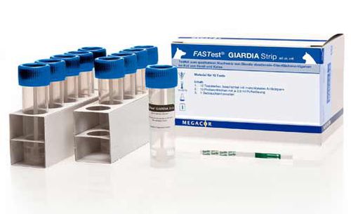 Экспресс-тест лямблиоза - FASTest® - MEGACOR Diagnostik - на антигены / для фекалий / иммунохроматографический
