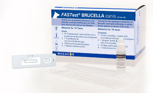 Экспресс-тест на бруцеллез - FASTest® BRUCELLA - MEGACOR Diagnostik - для собак / для антитела / на бруцеллу