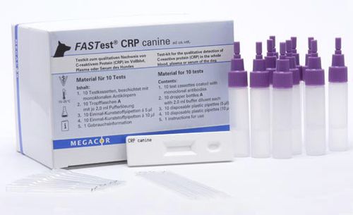 Экспресс-тест для воспалительных заболеваний - FASTest® CRP - MEGACOR Diagnostik - для собак / CRP / сыворотки