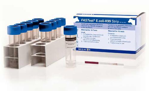 Экспресс-тест на диарею - FASTest® E.coli-K99 - MEGACOR Diagnostik - для крупного рогатого скота / на антигены / свинцовый