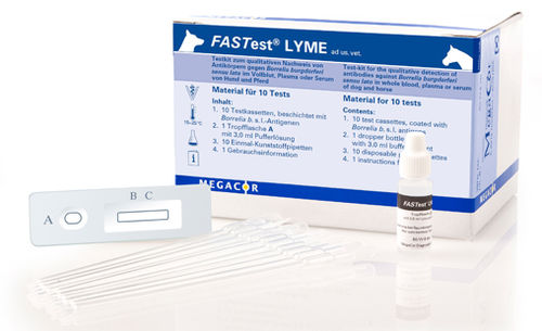 Экспресс-тест на болезнь Лайма - FASTest® LYME - MEGACOR Diagnostik - для собак / для лошадей / IgG