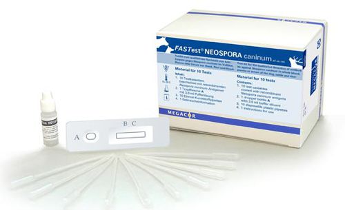 Экспресс-тест на неоспороз собак - FASTest® NEOSPORA - MEGACOR Diagnostik - на инфекционные заболевания / ветеринарный / сыворотки