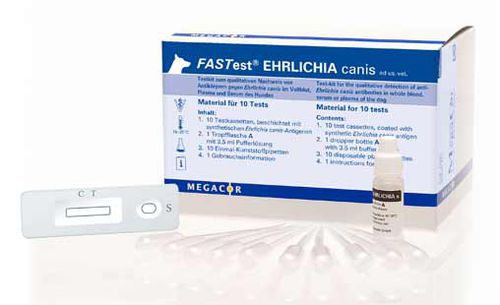 Экспресс-тест на эрлихиоз - FASTest® EHRLICHIA canis - MEGACOR Diagnostik - для собак / для антитела / на эрлихиоз