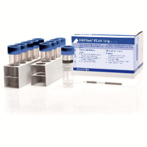 Экспресс-тест на инфекционные заболевания - FASTest® FCoV - MEGACOR Diagnostik - для кошек / на коронавирус / на коронавирус кошек