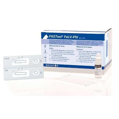 Экспресс-тест на кошачий лейкоз - FASTest® FeLV-FIV - MEGACOR Diagnostik - для кошек / на антигены / на FIV
