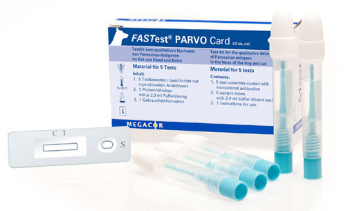 Экспресс-тест на инфекционные заболевания - FASTest® PARVO - MEGACOR Diagnostik - для кошек / для собак / на антигены