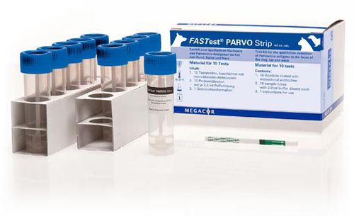Экспресс-тест на инфекционные заболевания - FASTest® PARVO  - MEGACOR Diagnostik - на диарею / для кошек / для собак