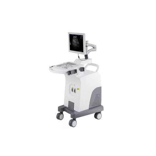 Ультразвуковой сканер на платформе - HF-350 - Shanghai Huifeng Medical Instrument - для поливалентной эхографии / черно-белый / 15 дюймов
