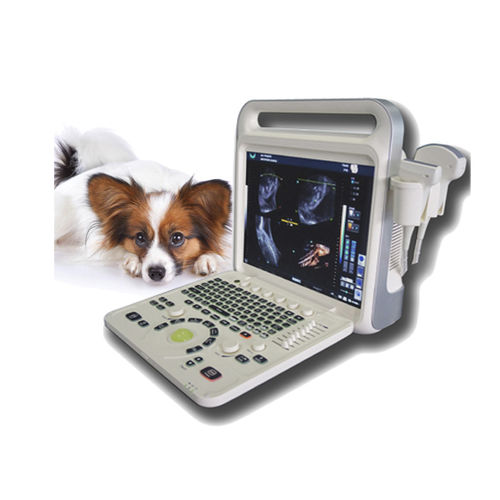Переносной ветеринарный ультразвуковой сканер - XF3600V - Xianfeng Ultrasound Medical - многоцелевой / для собак / для собак