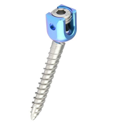 Транспедикулярный винт для грудо-поясничного позвонка - REED Polyaxial Screw - H.P.I. Medical - многоосный / металлический