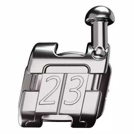 Ортодонтические скобы из металла - SL21-24 - Hangzhou DTC Medical Apparatus - самолигирующаяся / мини / прямоугольная