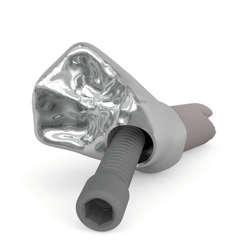 Зубопротезный винт - Kiran® Screw - Ziacom Medical
