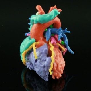Программное обеспечение для печати 3D - HeartPrint - Materialise UK - медицинское / анатомическое / для планирования