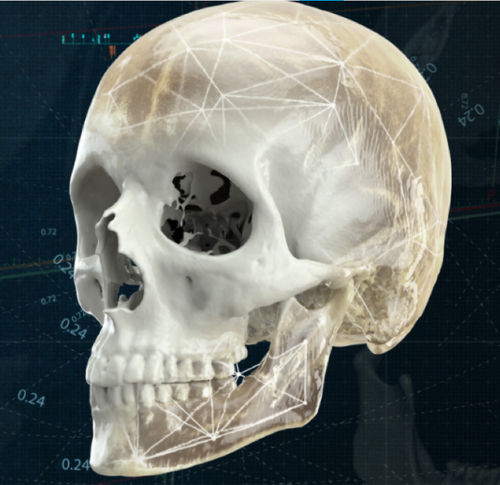 Программное обеспечение для визуализации 3D - CMF - Materialise UK - для анализа / для планирования / для 3D моделирования