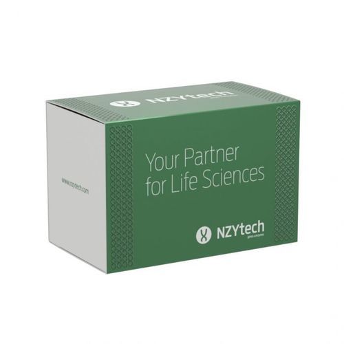 Набор реактивов в растворе - Supreme HC NZY - NZYTech - фермент / обратная транскриптаза / буфер для растворения