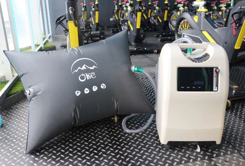 Медицинский генератор кислорода - OLV-10 T - Zhengzhou Olive Electronic Technology - на роликах / переносной