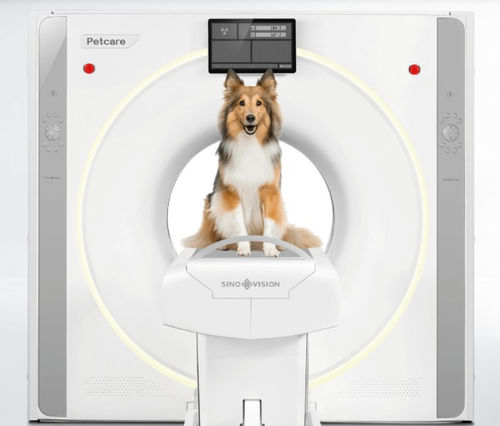 Ветеринарный рентгеновский сканер для домашних животных - Petcare - SinoVision
