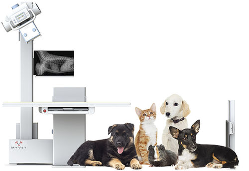 Цифровой ветеринарная рентгеновская система - i72W - MYVET