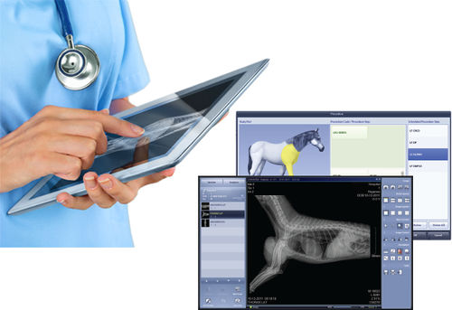 Программное обеспечение для управления - VetView - MYVET - для приобретения / для захвата изображений / для ветеринарной радиографии
