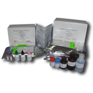Набор для теста на инфекционные заболевания - FP-ELISA II - SafePath Laboratories - для анемии / для лошади / для антитела