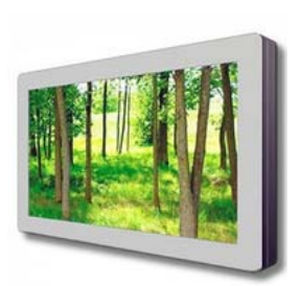 Медицинский монитор - CLS-H557MSV - Euro CLS - 55" / LCD / со светодиодной подсветкой