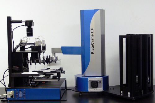 Автоматический сортировщик колоний - RapidPick Lite  - Hudson Robotics