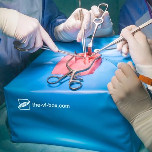 Медицинский симулятор для сосудистой хирургии - VI Box  - LifeLike BioTissue Inc. - учебный / для сечения / рабочая станция