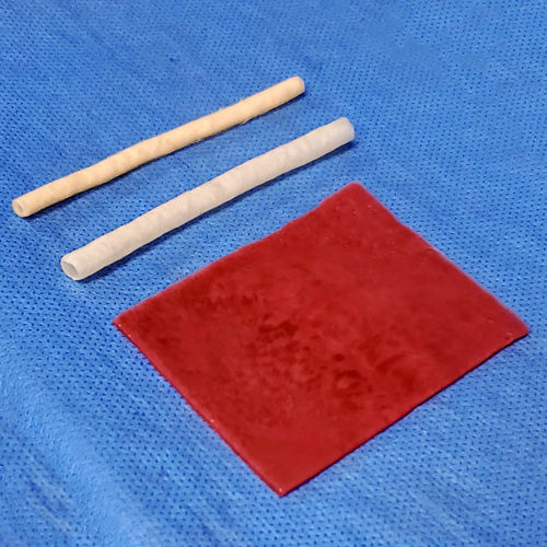 Анатомическая модель мочевого пузыря - 10 series - LifeLike BioTissue Inc. - мочеточника / для хирургии / хирургическая