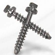 Артродезный винт для поясничного позвонка - Capture™ - Spineology - металлический