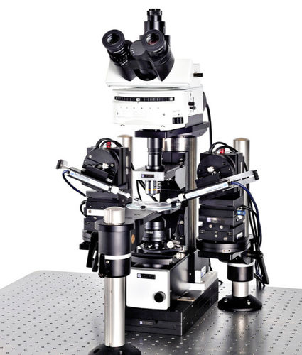 Система пэтч-кламп для исследований - SliceScope Pro 1000 - Scientifica - с инвертированным микроскопом