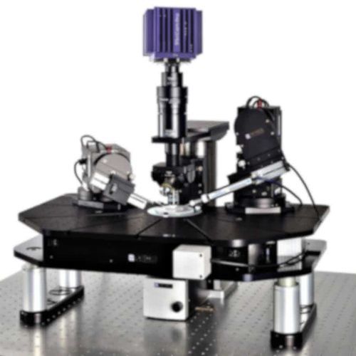Система пэтч-кламп для исследований - SliceScope Pro 3000 - Scientifica