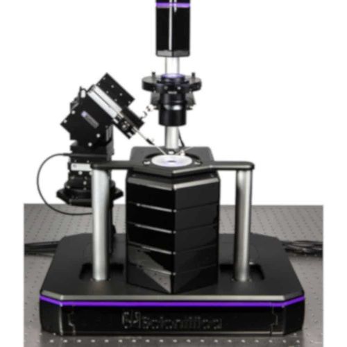 Оптический микроскоп - PatchScope Pro 1000 - Scientifica - неврология / инвертированный / флуоресцентный
