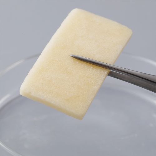 Тканевая матрица ортопедическая хирургия - SKUHEAL&trade; L220625 - Allgens Medical - синтетическая / коллагена / ГАП