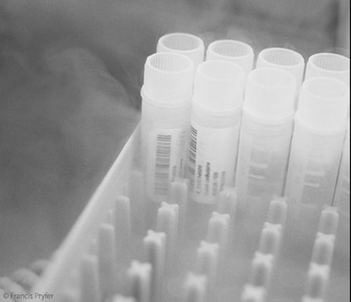 Программное обеспечение для отслеживания - TDBioBank - TECHNIDATA - для биобанков / для управления / для мониторинга