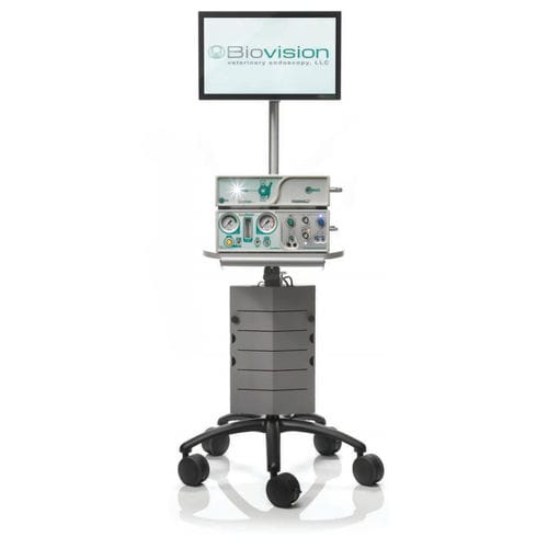 Ветеринарный лапароскоп видео - EDSS - Biovision Veterinary Endoscopy