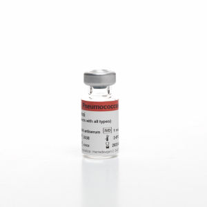 Реактив антисыворотка - OMNI - SSI Diagnostica - антитела / поликлональное антитело / для исследований