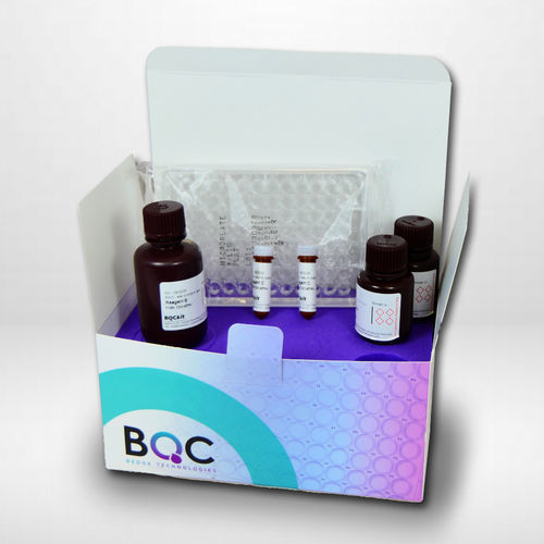 Набор для теста FRAP - KF01003  - Bioquochem - для клинической химии / на общий антиоксидантный статус / плазменный