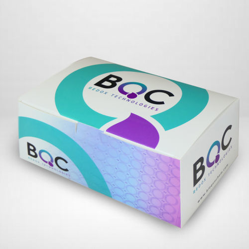 Набор для теста для клеточной биологии - KP06002 - Bioquochem - для клеток