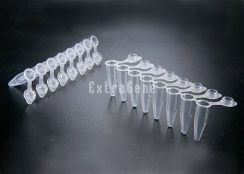 Пробирка для PCR - P-02X8-CF - ExtraGene,Inc. - с коническим дном / из полипропилена