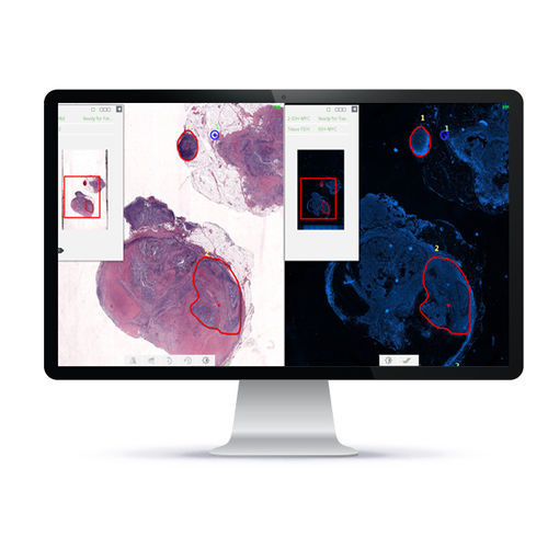 Автоматическая система клеточной визуализации - PathFusion™ - Applied Spectral Imaging - для лабораторий / для диагностики / ткани