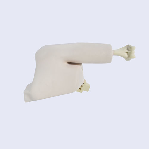 Анатомическая модель кости - LSH5760.1 - SYNBONE AG - сустава / плечевой кости / для плеча