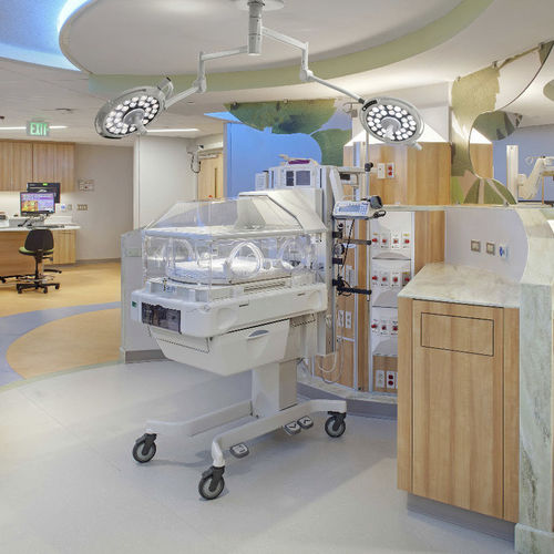 Потолочный хирургический светильник - JD1800  - Nanchang Micare Medical Equipment - светодиодный / для стоматологии / ветеринарный