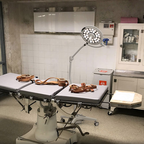 Лампа для малой хирургии общая терапия - JD1800L - Nanchang Micare Medical Equipment - ветеринарная / стоматологическая / для неотложной помощи