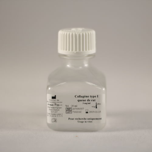 Реактив коллагена - TYPE I QUEUE DE RAT - Institut de Biotechnologies Jacques Boy - для исследований / для клеточной культуры / для клеточной адгезии