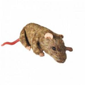 Учебный медицинский симулятор - SQUEEKUMS - INTELLIBIO - для исследований на животных / грызун