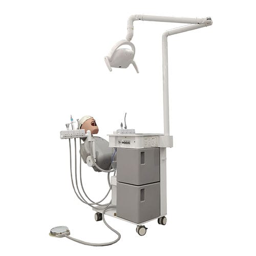 Медицинский симулятор для образовательных целей - JG-A15-1 - FOSHAN JINGLE MEDICAL EQUIPMENT CO., LTD - учебный / для стоматологии / головы