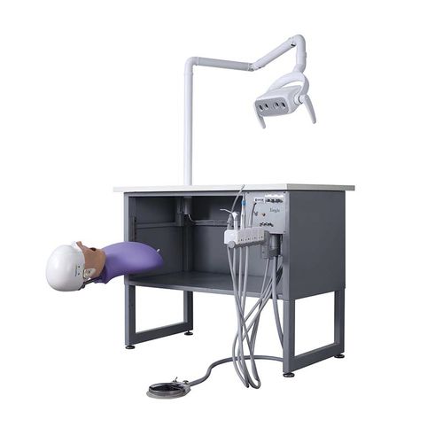 Медицинский симулятор для образовательных целей - JG-A5+ - FOSHAN JINGLE MEDICAL EQUIPMENT CO., LTD - учебный / для стоматологических лабoраторий / для стоматологии