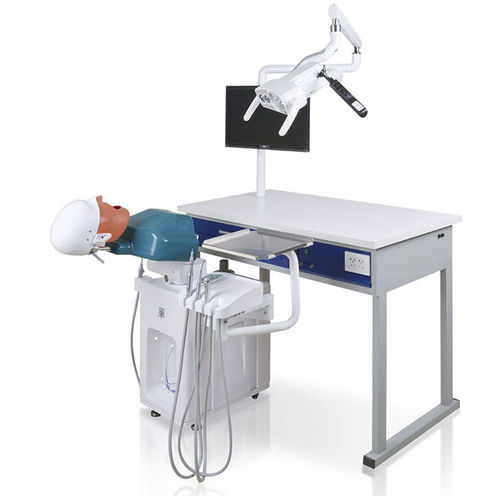 Учебный манекен для ухода за зубами - JG-A3 - FOSHAN JINGLE MEDICAL EQUIPMENT CO., LTD - для стоматологии / для демонстрации учебных стоматологических видео-роликов / для обучения