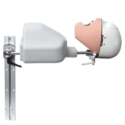 Учебный манекен для стоматологии - JG-C9 - FOSHAN JINGLE MEDICAL EQUIPMENT CO., LTD - для образовательных целей / головы / комплект учебных моделей